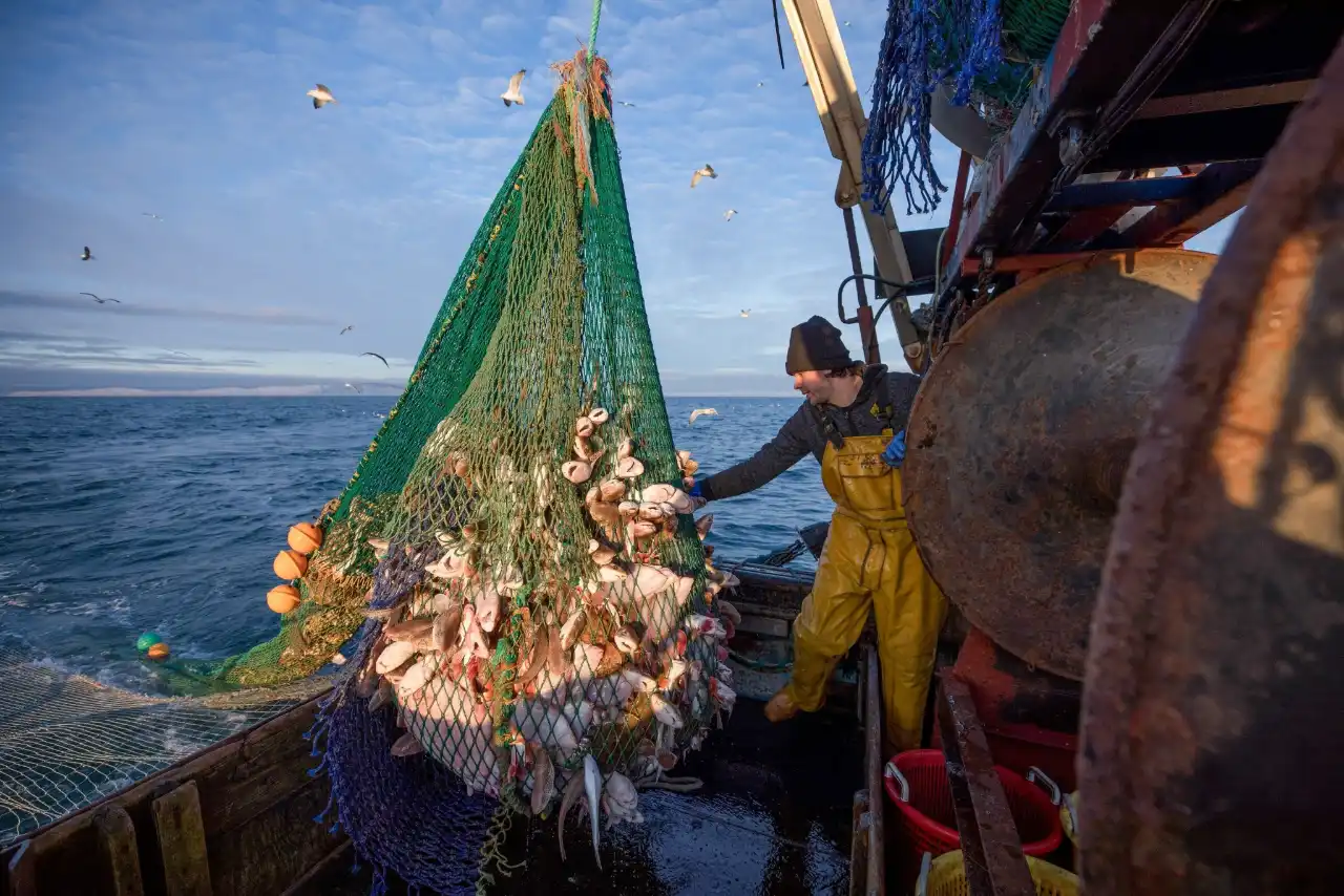 Articolo national geographic