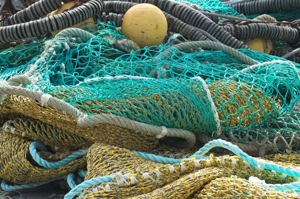 Overfishing: mitigare il cambiamento climatico a partire dagli oceani
