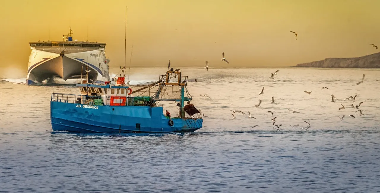 La pesca eccessiva sottrae risorse ai paesi poveri