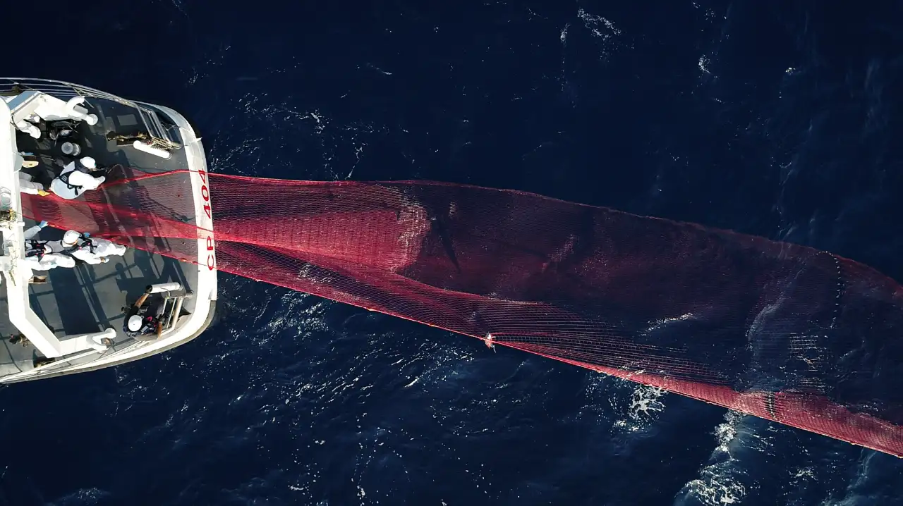 Se il mare muore - Rete pesca