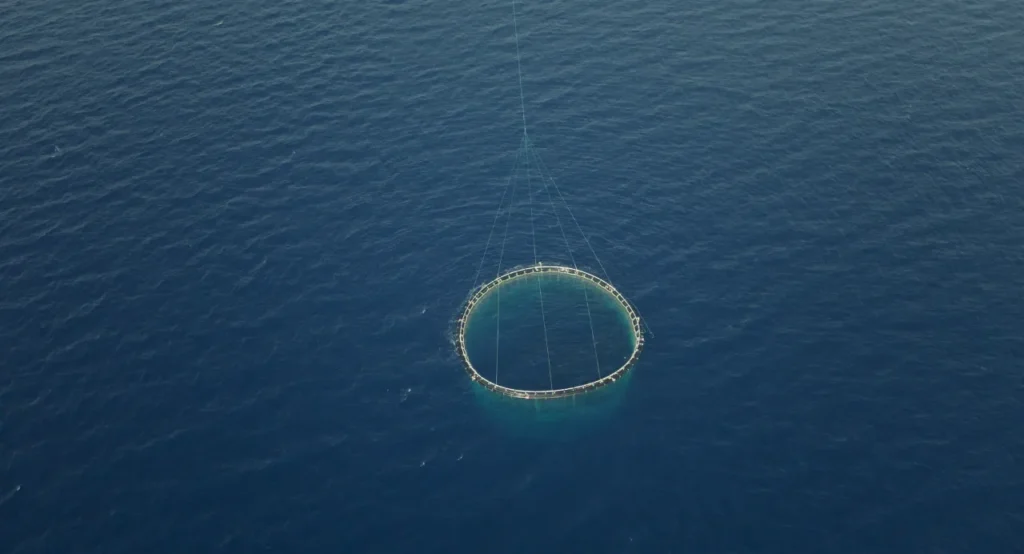 Se il mare muore - Carosello Film